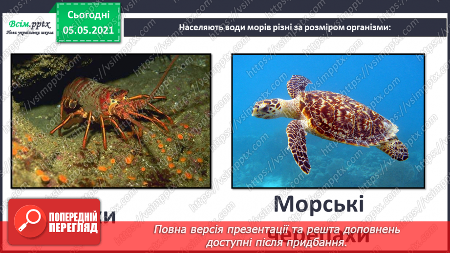 №055-56 - Узагальнення і систематизація знань учнів. Діагностична робота. Аналіз діагностичної роботи.38 №055-56 - Узагальнення і систематизація знань учнів. Діагностична робота. Аналіз діагностичної роботи.38