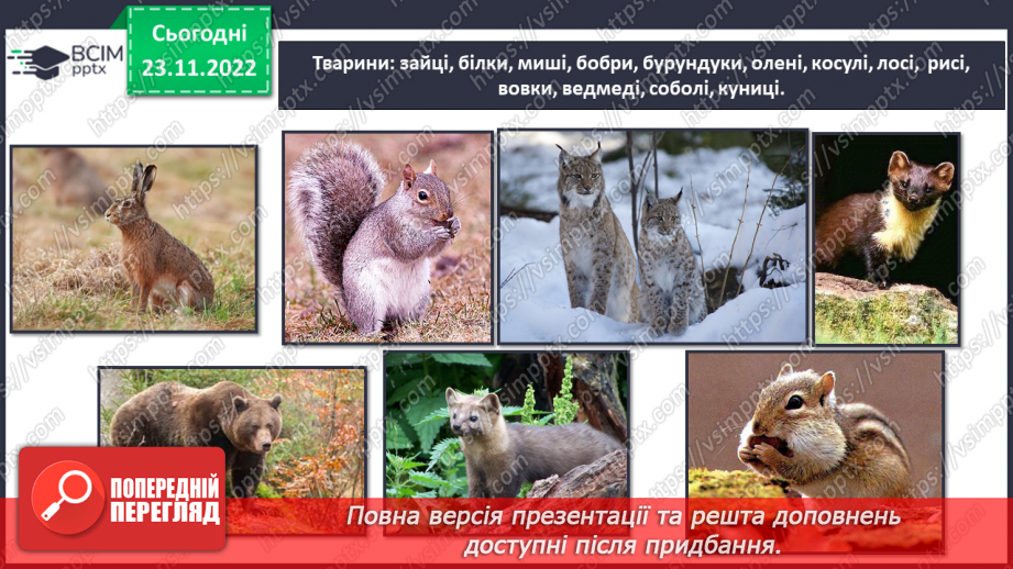 №044 - Дослідження природних зон (дощові ліси, напівпустеля, савани, тайга).23 №044 - Дослідження природних зон (дощові ліси, напівпустеля, савани, тайга).23