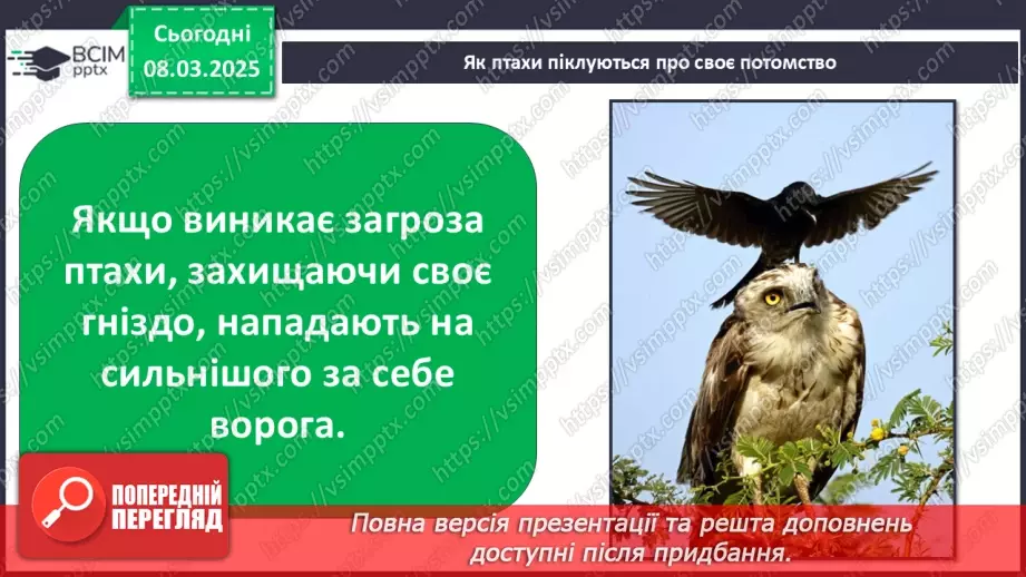 №0076 - Чому птахи в’ють гнізда36 №0076 - Чому птахи в’ють гнізда36