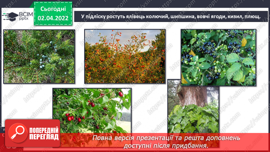 №083 - Кримські гори.10