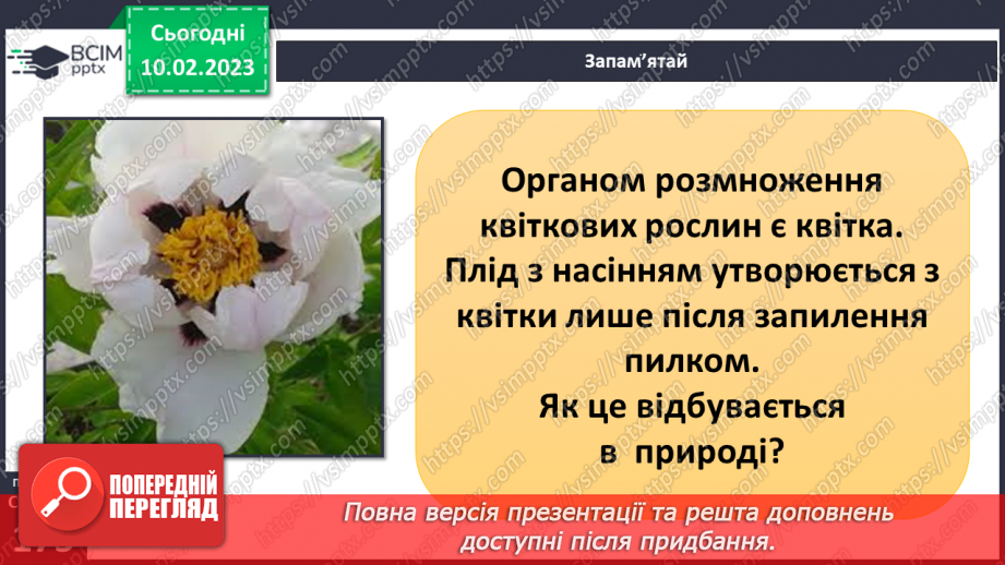 №45 - Пристосування до життя та різноманітність рослин. Секрети насінини.4