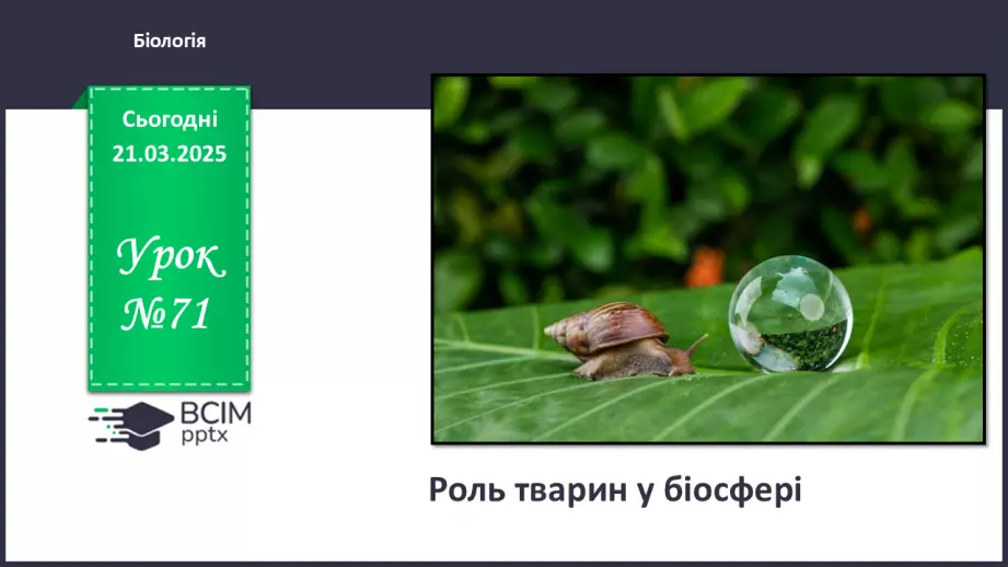 №71 - Роль тварин у біосфері.0