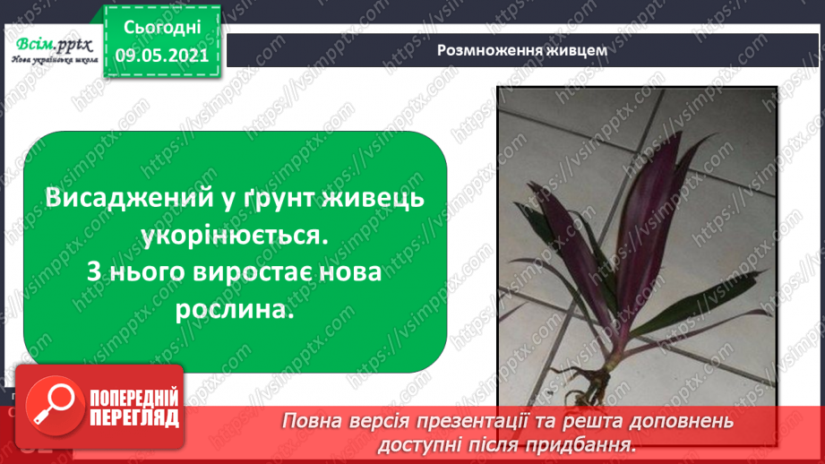 №054 - Як розмножуються рослини?27 №054 - Як розмножуються рослини?27