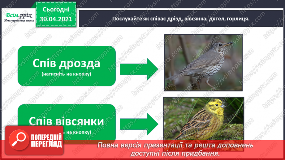 №071 - Весна днем красна. Степан Мацюцький «У гостях у весни»14