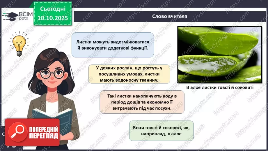 №023 - Покритонасінні рослини: будова бруньки, пагона й листка (продовження).20 №023 - Покритонасінні рослини: будова бруньки, пагона й листка (продовження).20