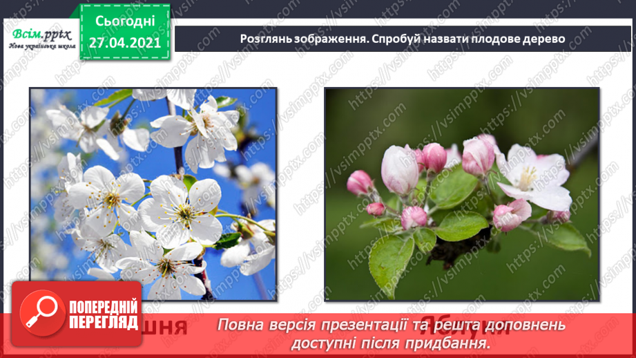 №075 - Як почуваються рослини навесні?25 №075 - Як почуваються рослини навесні?25