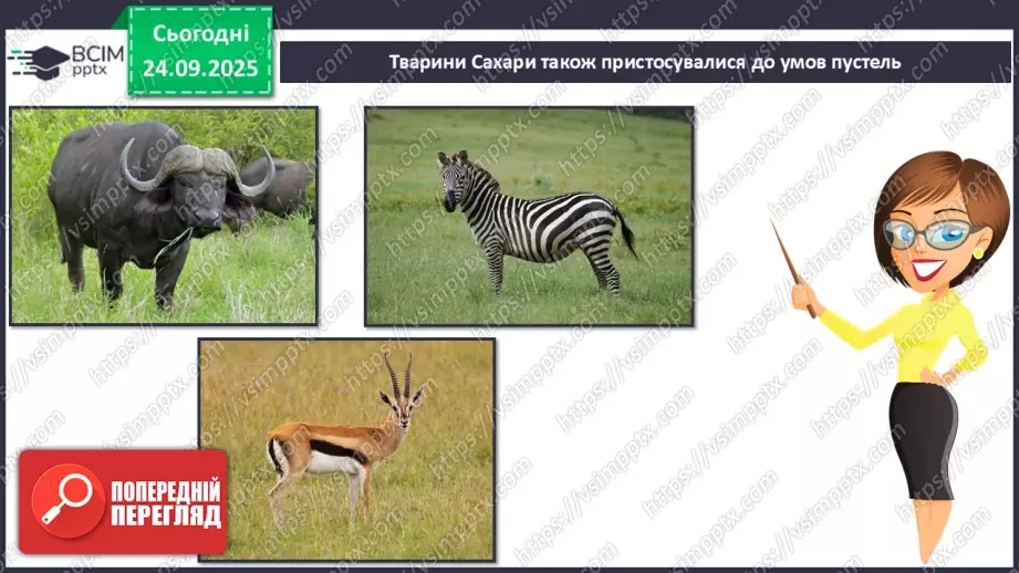 №016 - Рекорди Африки. Пустеля Сахара35 №016 - Рекорди Африки. Пустеля Сахара35