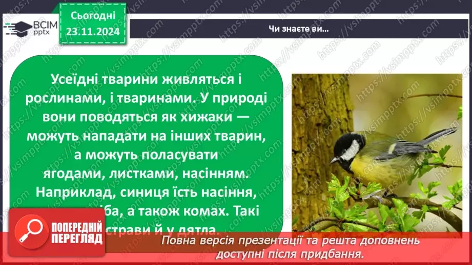 №0038 - Які невидимі ланцюги є в осінньому лісі25 №0038 - Які невидимі ланцюги є в осінньому лісі25