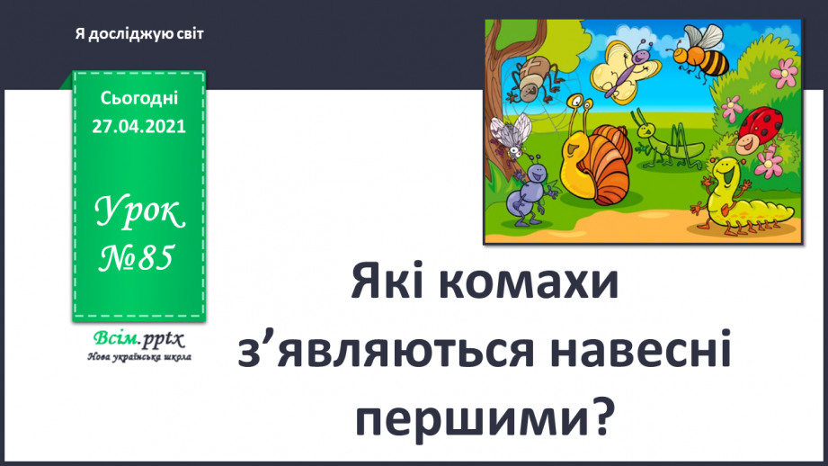 №085 - Які комахи з’являються навесні першими?0 №085 - Які комахи з’являються навесні першими?0