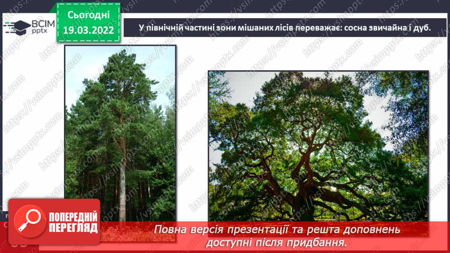 №078 - Природні зони України. Мішані та широколисті ліси.4 №078 - Природні зони України. Мішані та широколисті ліси.4