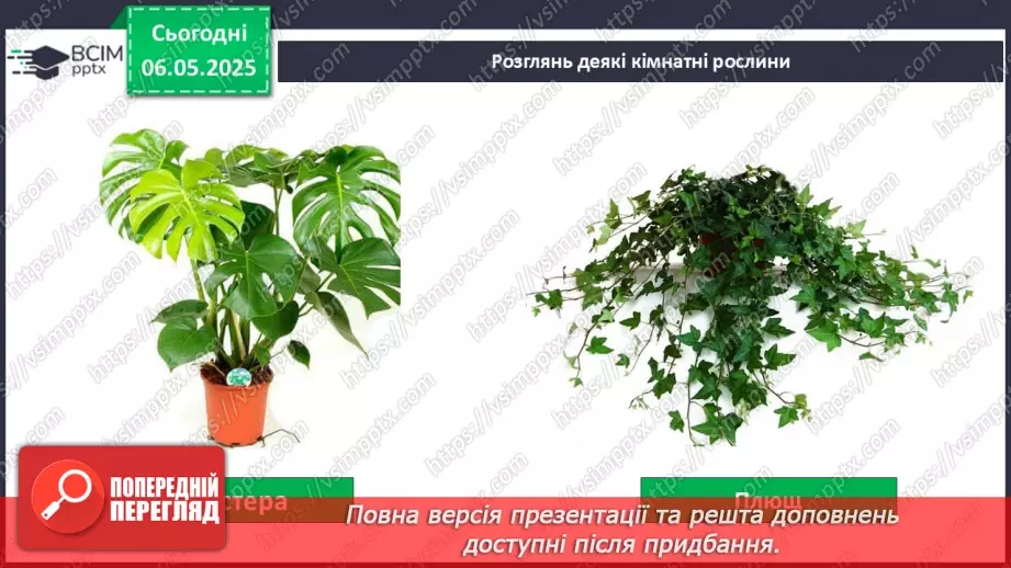 №101-102 - Догляд за кімнатними рослинами. Пересаджування квітів8