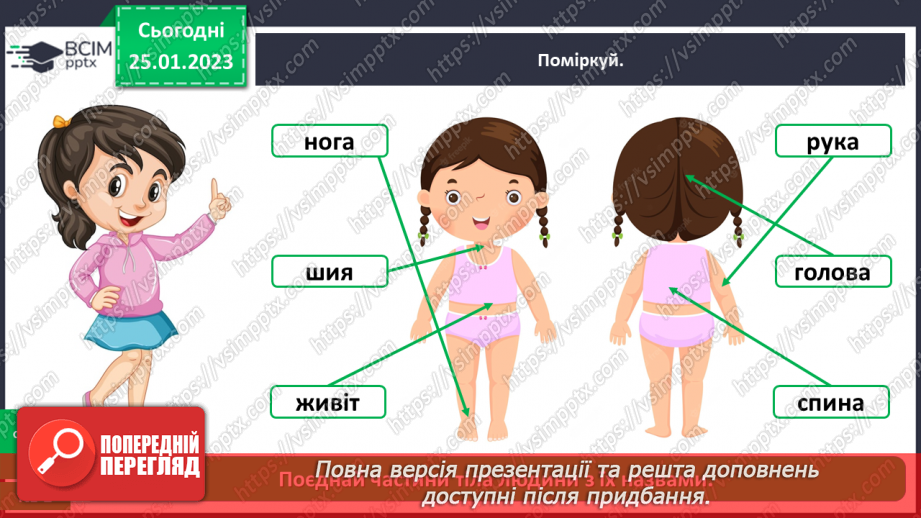 №0061 - Тіло людини9