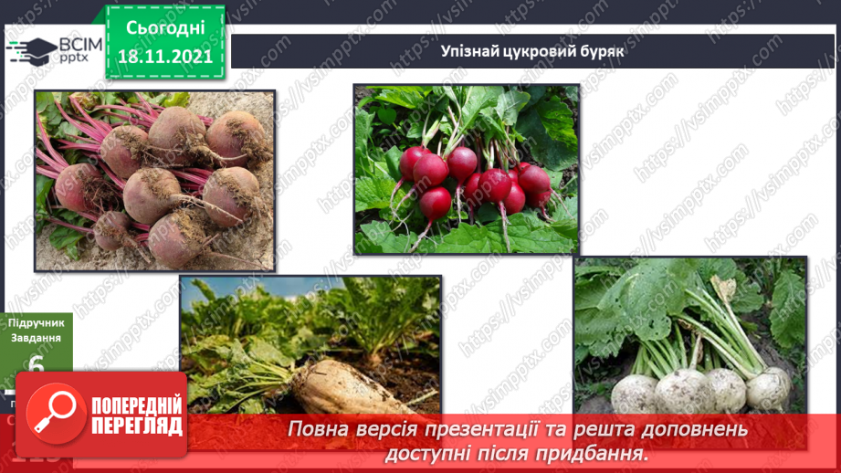 №038 - Що таке енергія? Енергія для організму людини14 №038 - Що таке енергія? Енергія для організму людини14