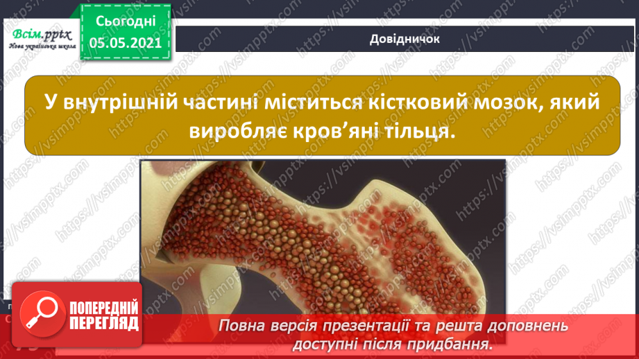 №057-58 - Скелет — опора тіла.8 №057-58 - Скелет — опора тіла.8