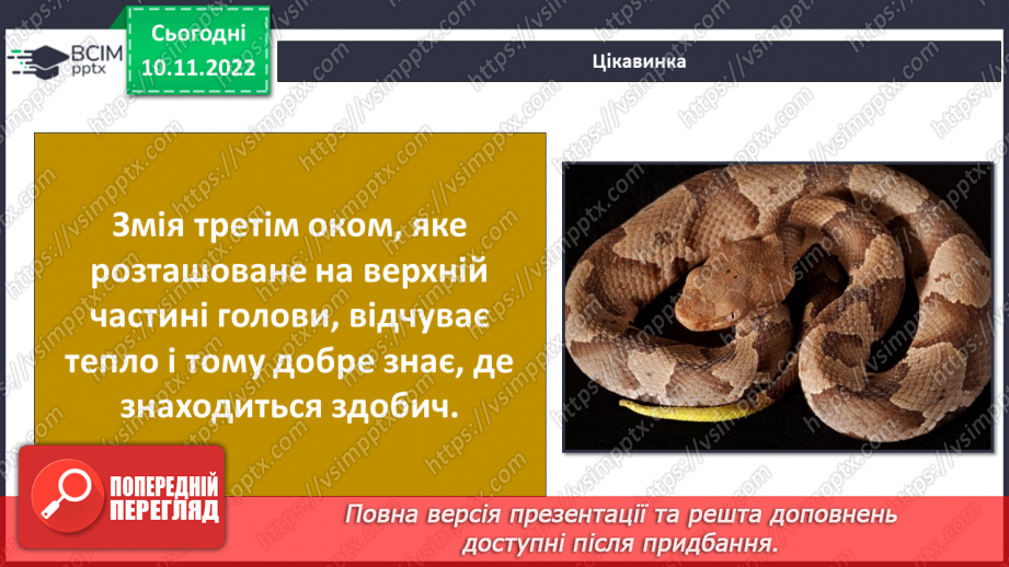 №038 - Риби, земноводні та плазуни.33 №038 - Риби, земноводні та плазуни.33