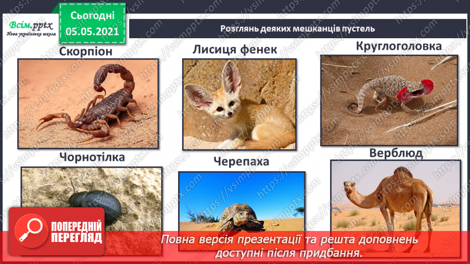 №039 - Звірі.9 №039 - Звірі.9