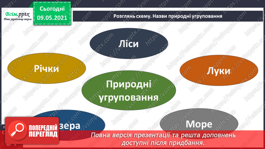 №056 - Якими бувають ліси та луки?7