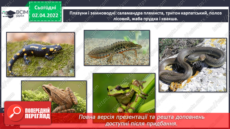 №082 - Українські Карпати23 №082 - Українські Карпати23