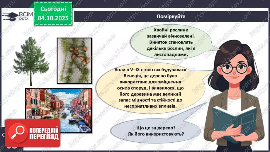 №019 - Голонасінні рослини: значення в екосистемах і використання.23 №019 - Голонасінні рослини: значення в екосистемах і використання.23