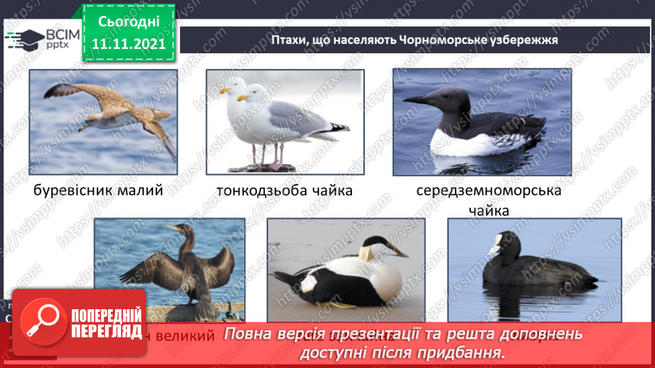 №034 - Які скарби приховує Чорне море13 №034 - Які скарби приховує Чорне море13