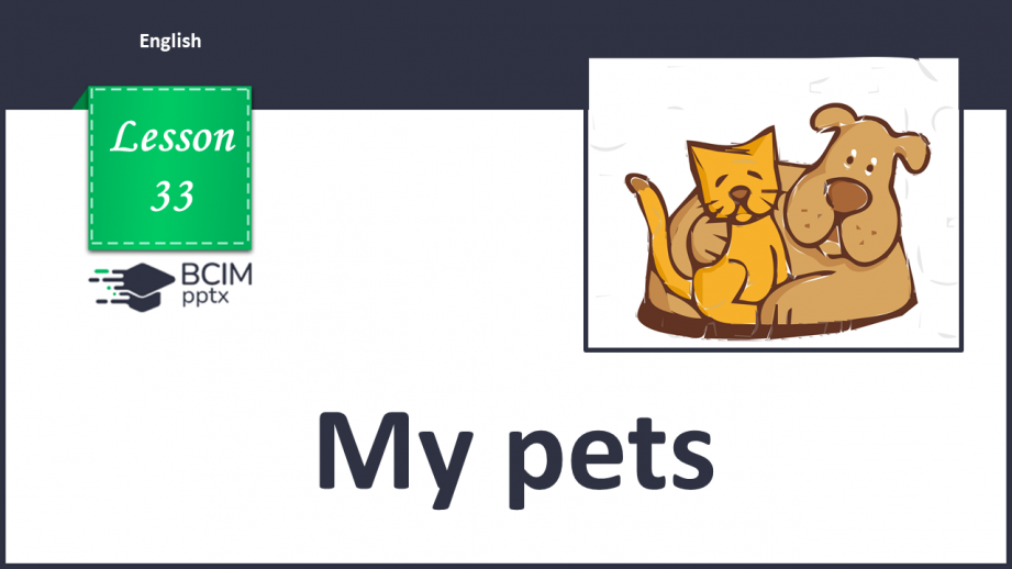 №33 - My pets0