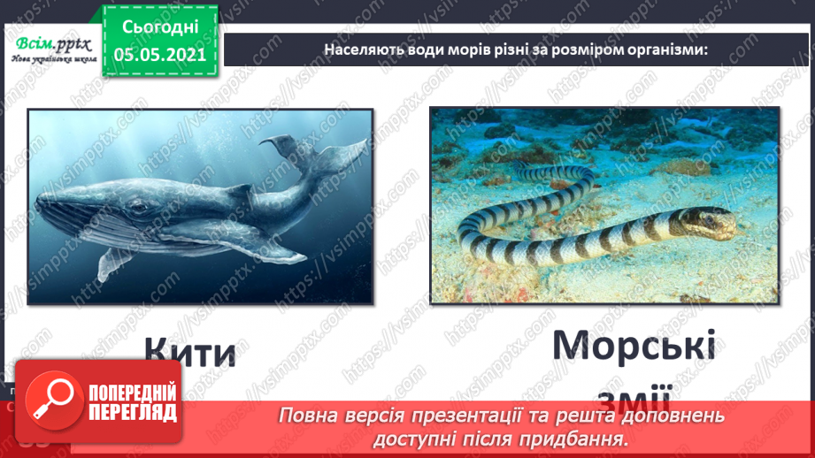 №053-54 - Природне угруповання—море. Подорож- спостереження «Природне угруповання нашої місцевості»10 №053-54 - Природне угруповання—море. Подорож- спостереження «Природне угруповання нашої місцевості»10