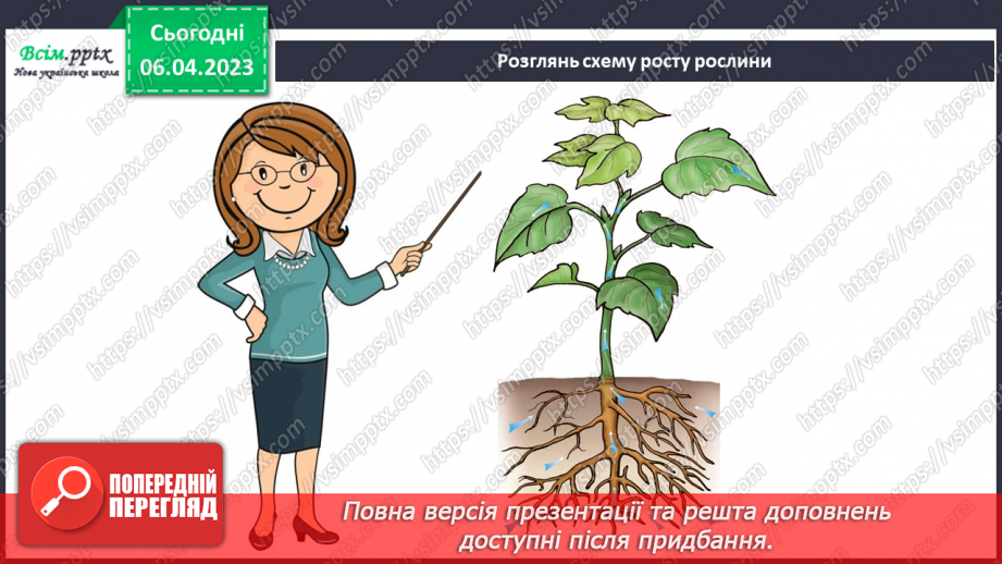 №31 - Виготовлення моделі проростання рослин7 №31 - Виготовлення моделі проростання рослин7