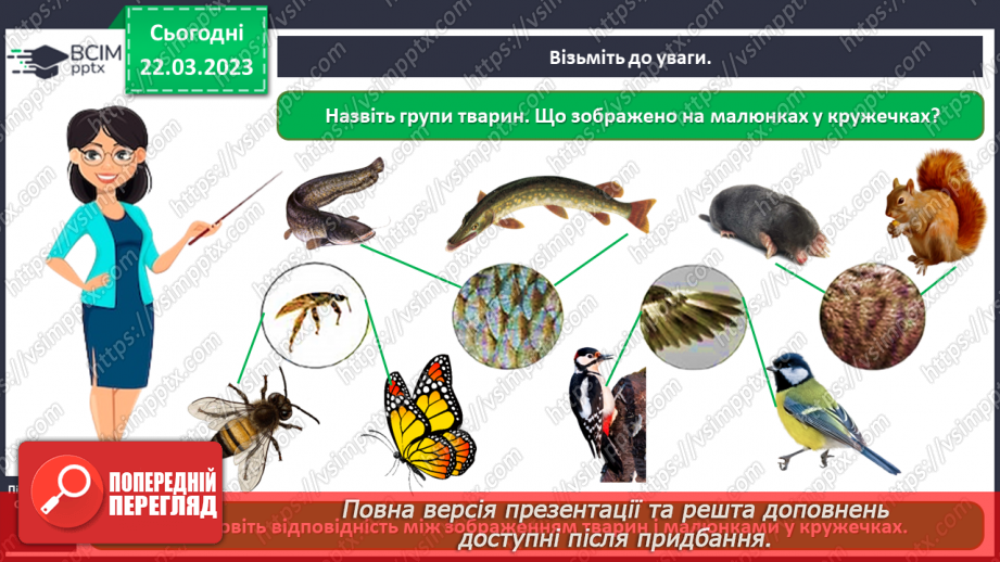 №0087 - Тварини рідного краю10 №0087 - Тварини рідного краю10