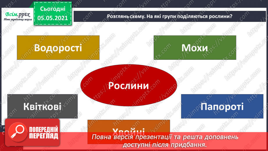 №032 - Різноманітність рослин у природі14