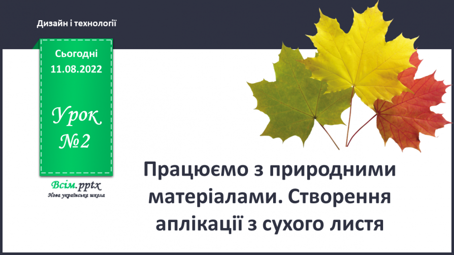 №02 - Працюємо з природним матеріалом. Аплікація з сухого листя0