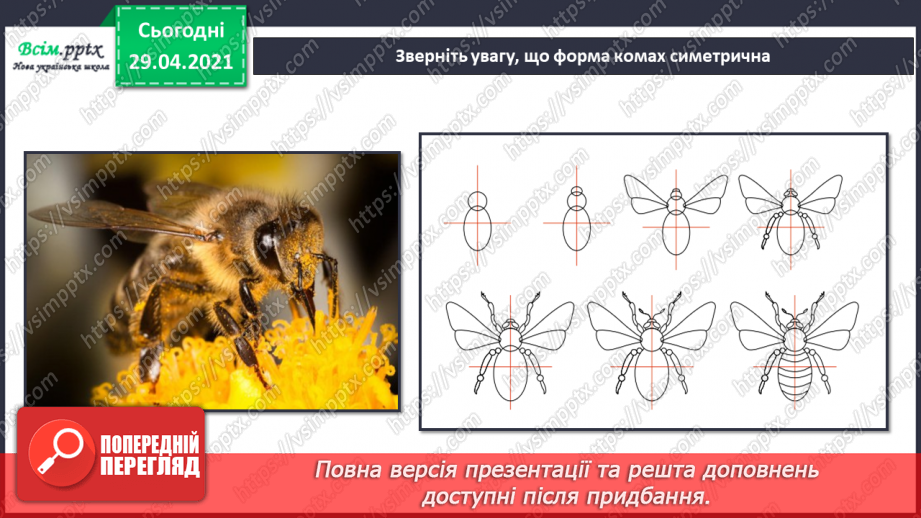 №04 - Бджілки-трудівниці. Штампування. Виготовлення штам-пів із картоплин. Створення сюжетної композиції «Бджілки-трудівниці»8