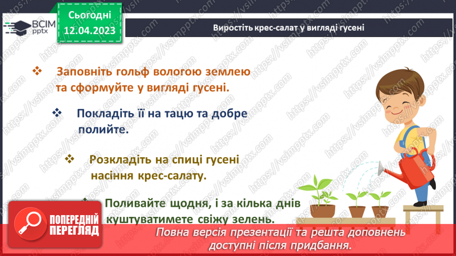 №0095 - Рослини влітку29