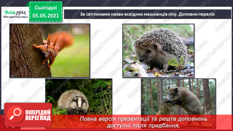 №050 - Природні угруповання. Природне угруповання — ліс.20