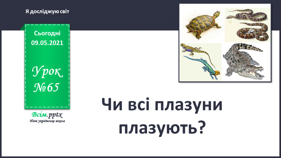 №065 - Чи всі плазуни плазують?0