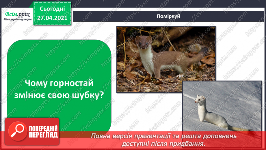 №027 - Чи всі птахи восени відлітають у теплі краї?8
