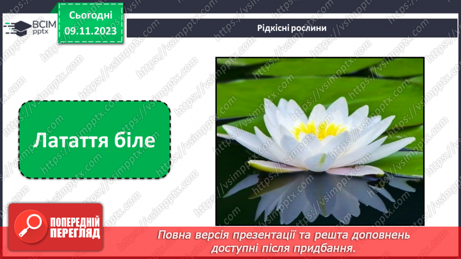 №036 - Червона книга України. Рідкісні рослини.15 №036 - Червона книга України. Рідкісні рослини.15