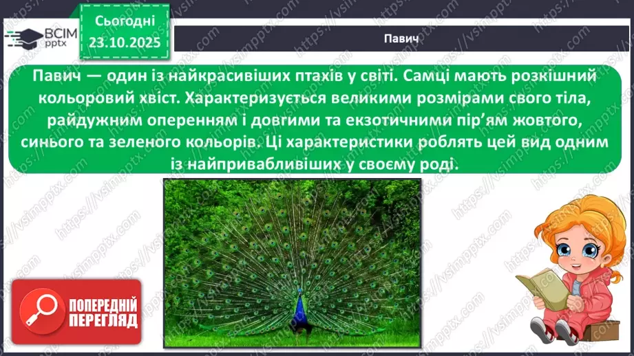 №030 - Тварини Азії19 №030 - Тварини Азії19