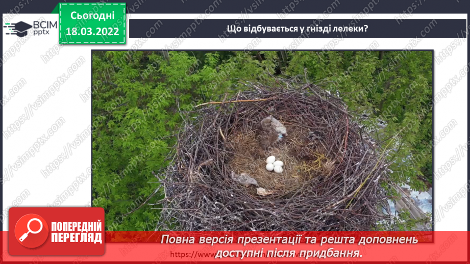 №078 - Г. Остапенко «Перо лелеки»20 №078 - Г. Остапенко «Перо лелеки»20