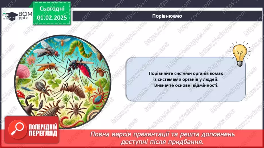 №57 - Комахи (продовження).8 №57 - Комахи (продовження).8