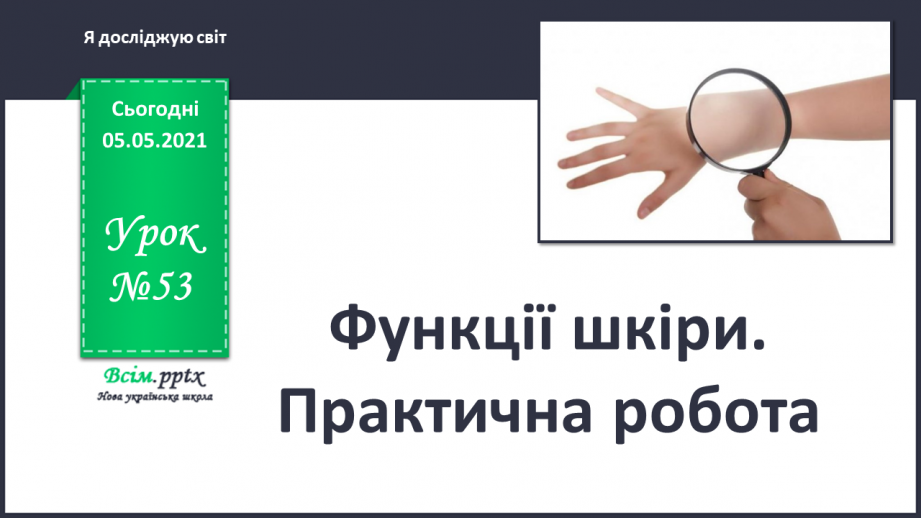№053 - Функції шкіри. Практична робота.0 №053 - Функції шкіри. Практична робота.0