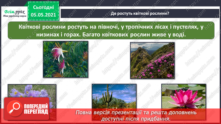 №036 - Квіткові рослини.6
