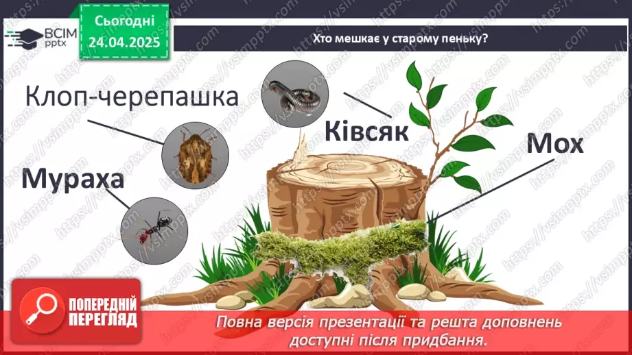 №0094 - Проект «Хто мешкає у старому пеньку?15 №0094 - Проект «Хто мешкає у старому пеньку?15