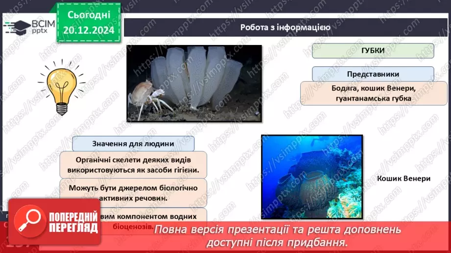 №49 - Губки і Жалкі.16 №49 - Губки і Жалкі.16