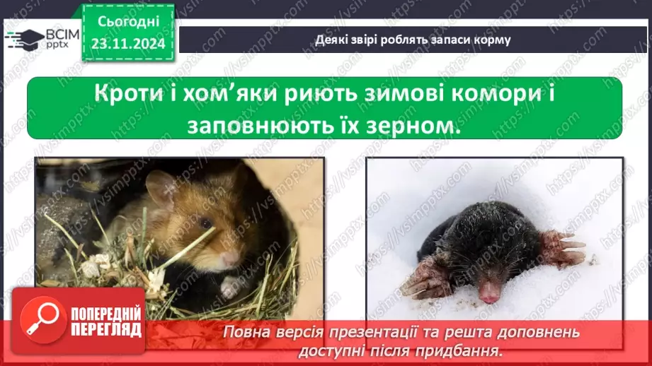 №0037 - Як звірі готуються до зими11 №0037 - Як звірі готуються до зими11