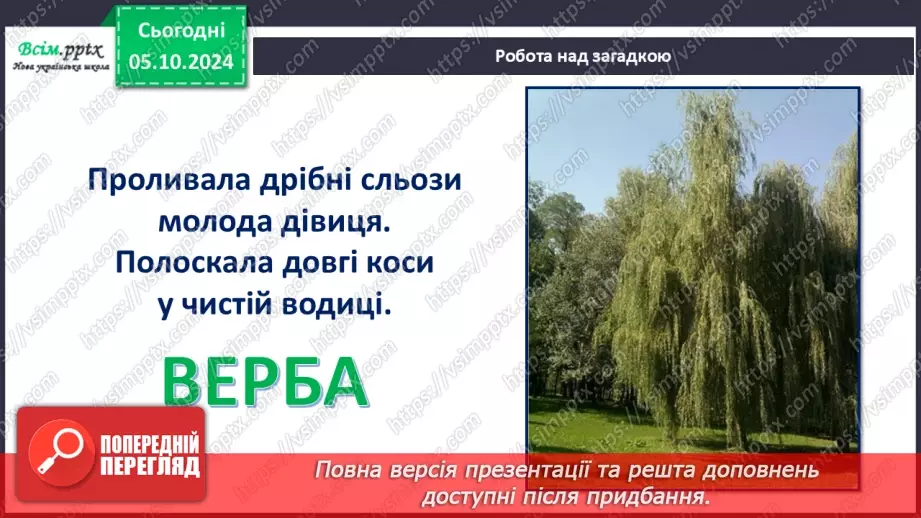 №07 - Аплікація з паперу. Проєктна робота «Аплікація рослин, які ростуть на шкільному подвір’ї».12