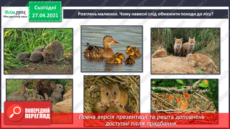 №088-89 - Які турботи приносить весна звірам?22