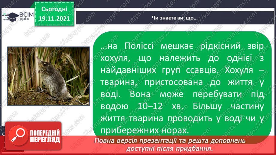 №039 - Подорожуємо  зонами мішаних і  широколистих лісів23
