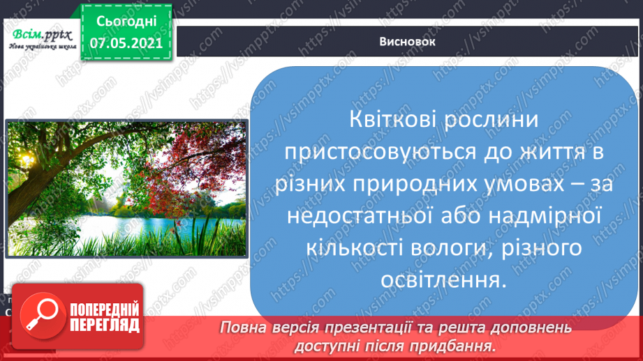 №040 - Пристосування квіткових рослин до різних умов життя19 №040 - Пристосування квіткових рослин до різних умов життя19