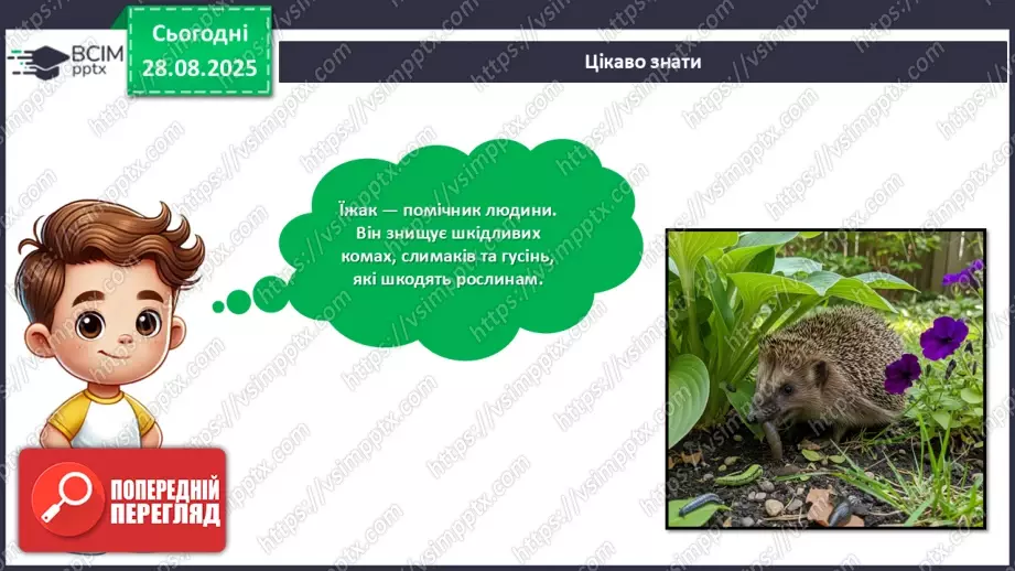 №02 - Робота із природним матеріалом. Виготовлення їжачка.15 №02 - Робота із природним матеріалом. Виготовлення їжачка.15