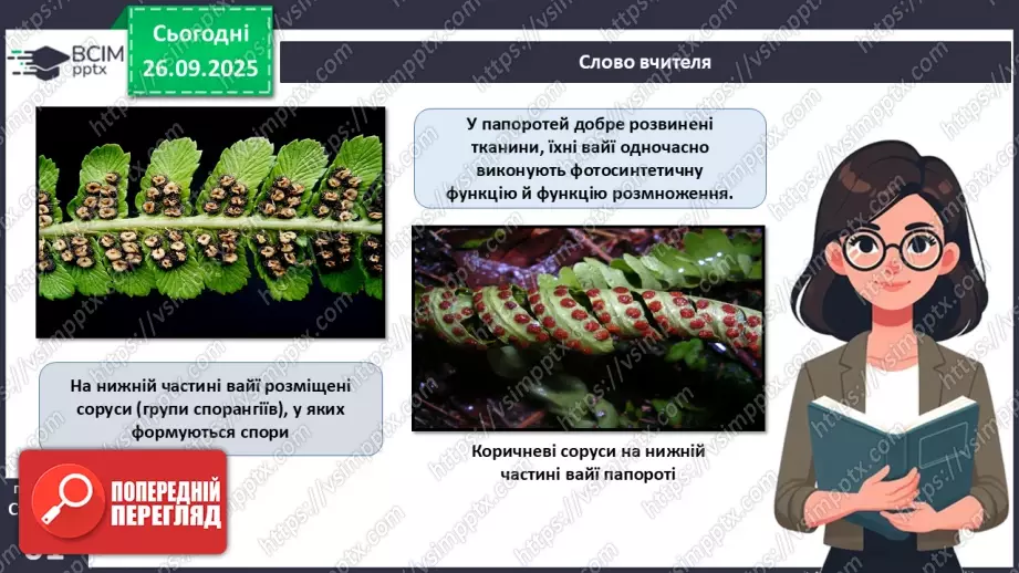 №018 - Вищі спорові рослини: папороті та хвощі. Їхнє значення в екосистемах і використання.9 №018 - Вищі спорові рослини: папороті та хвощі. Їхнє значення в екосистемах і використання.9